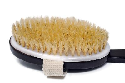 Long-Handled Body Brush