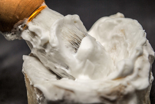 Artisan Shave Soaps - Rich Lather, Natural Handmade Shaving Soap for Smooth Razor Glide, Men's Grooming Gift| Soap Puck